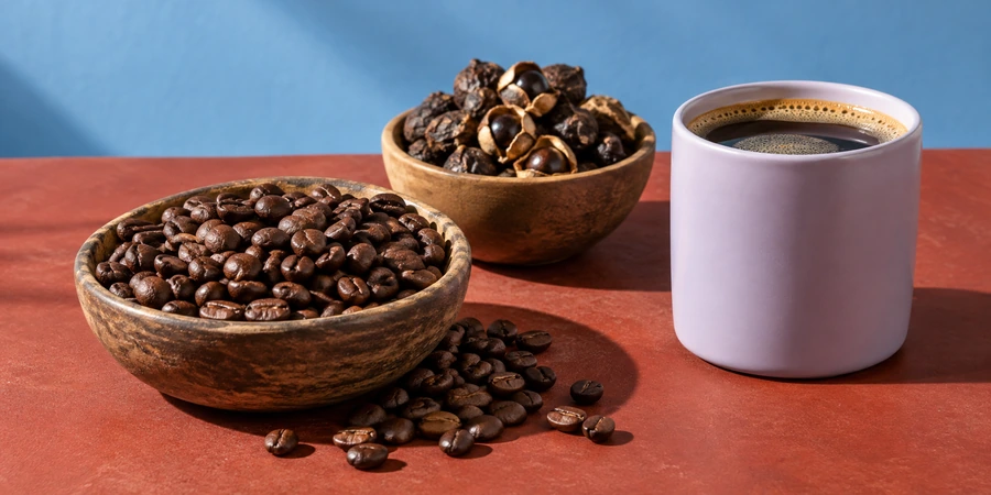 Cuenco de granos de café robusta junto a un cuenco de semillas de guaraná y una taza de café soluble recién preparada